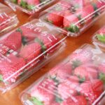 「Yokohama Strawberry Festival2024」イメージ