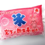 「オランダフーズ」の「岩下の新生姜風味のかき氷」150円