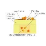 「オレンジのかくれんぼ」イメージ