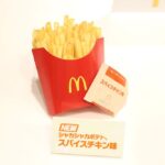 「シャカシャカポテト スパイスチキン味」通常のポテトにプラス税込み40円