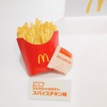 「シャカシャカポテト スパイスチキン味」通常のポテトにプラス税込み40円