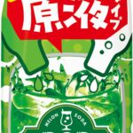 濃縮タイプ飲料「おうちドリンクバー メロンソーダ」イメージ