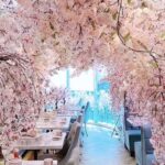 「サクラアフタヌーンティー（SAKURA Afternoon Tea）」イメージ