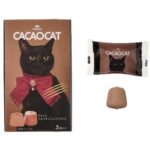 「CACAOCAT ひとくちミルクチョコレートアイス」税込み278円