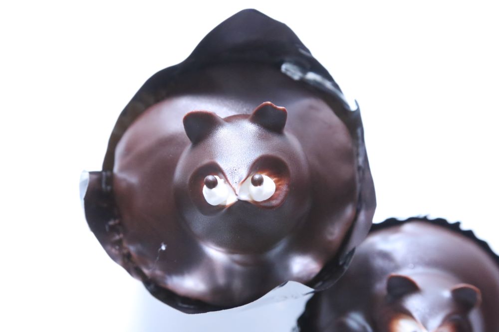 たぬきケーキのイメージ