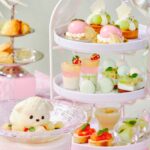 「アシェットセットプラン」イメージ
