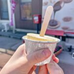 「生プリンアイス」イメージ
