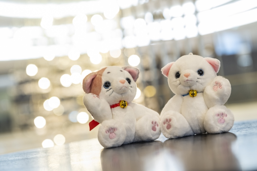「しろ」と「みけ」イメージ