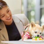 「アプローズスクエア東京迎賓館」限定の「愛犬とご一緒に過ごせるアフタヌーンティ」イメージ