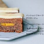 「ガトーショコラ ソフト -パッションフルーツ-」イメージ