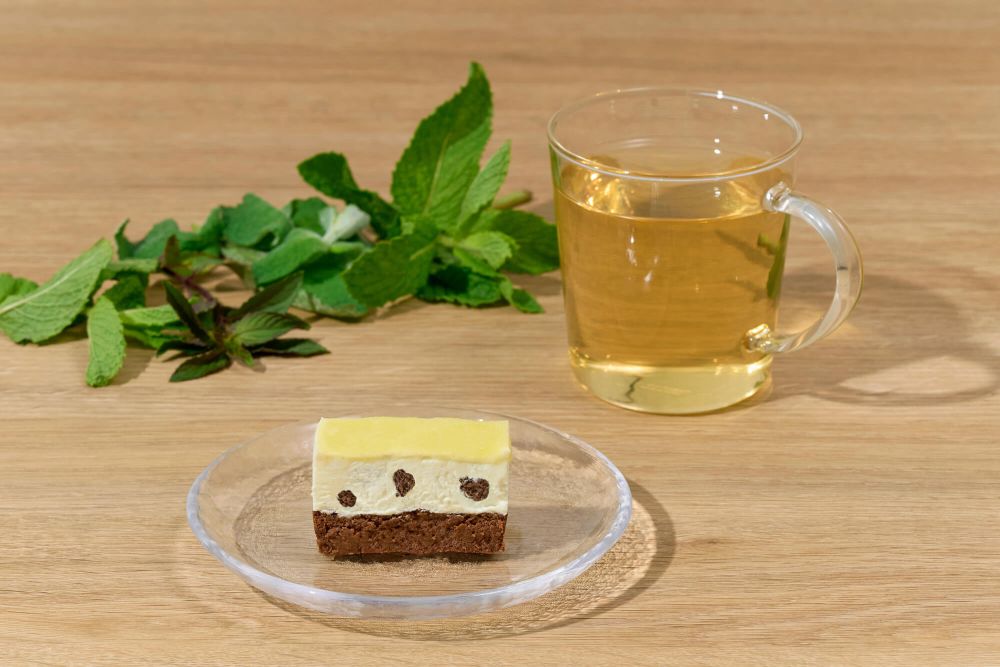 「チョコミントの生ガトーショコラ」イメージ