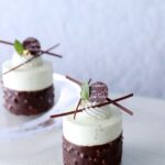 「ジョエル・ロブションのチョコミント」イメージ