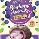 「ブルーベリーチーズケーキ 」イメージ