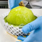 メロンケーキ「メロンボート」イメージ