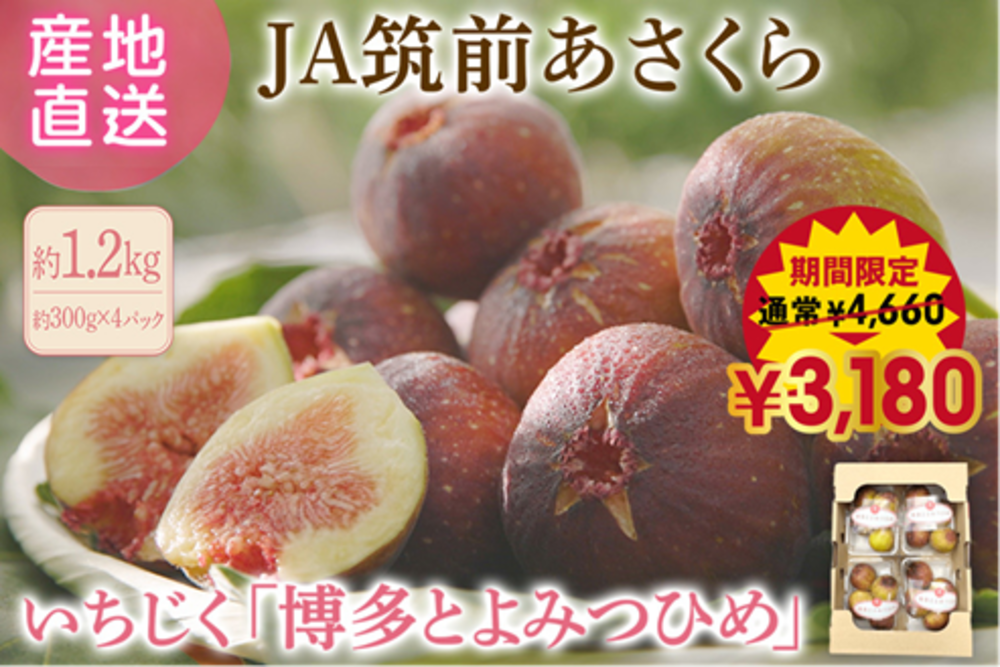 ＪＡタウンのショップ「博多うまかショップ」でお盆の生産者応援！ 「博多とよみつひめ」を特別価格で予約受付中！