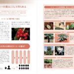 「コーヒーの授業~豆選び、淹れ方、飲み方から健康にいい話まで~」イメージ