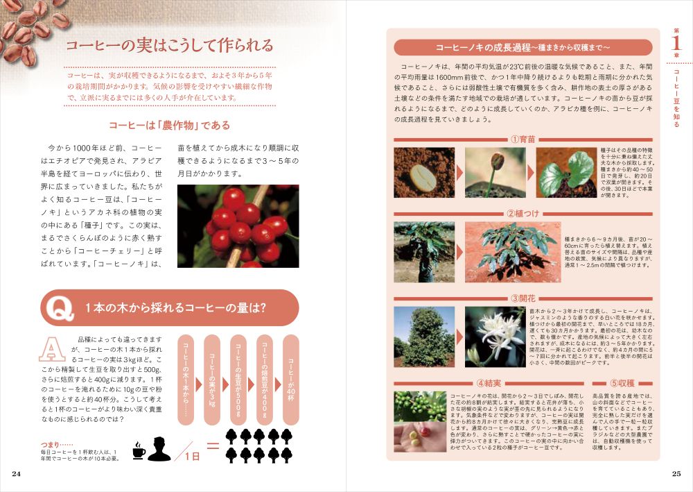 「コーヒーの授業～豆選び、淹れ方、飲み方から健康にいい話まで～」イメージ