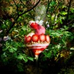 「夏いちごのパフェ」イメージ