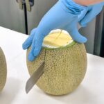 「大玉まるごとメロンショート」イメージ