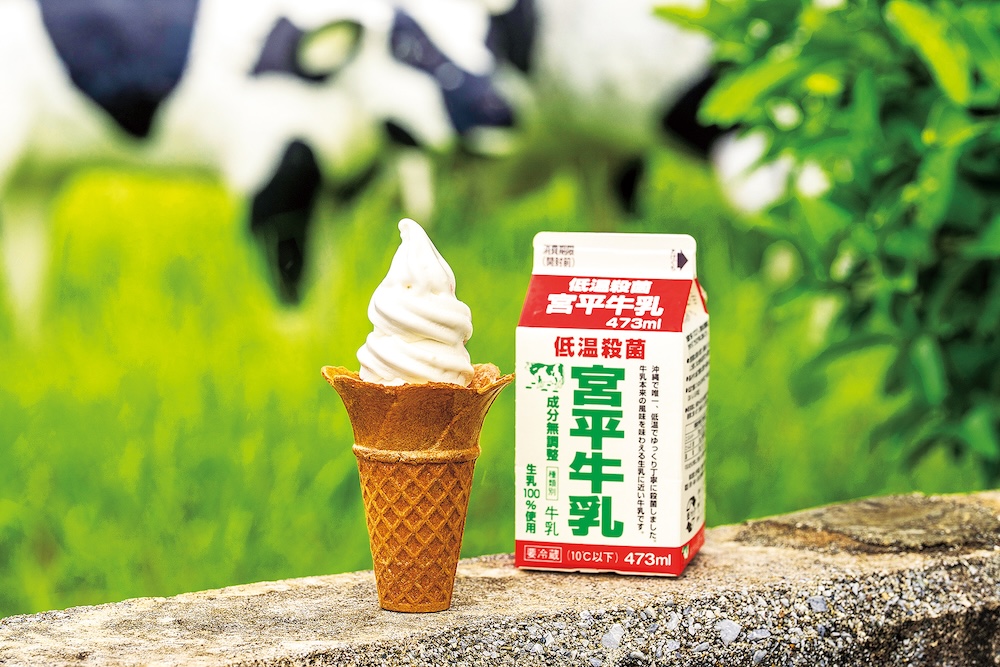 「宮平乳業ソフトクリーム」税込み550円