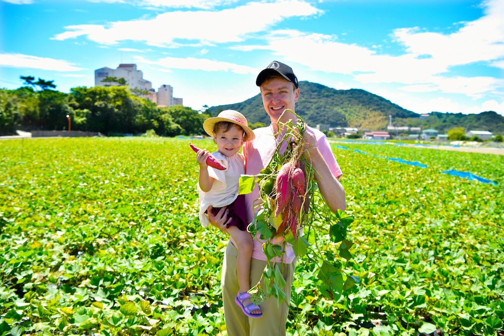 「なると金時芋掘り体験」イメージ