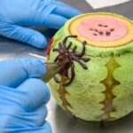 ハロウィン限定デザインの「すいかバウム」イメージ