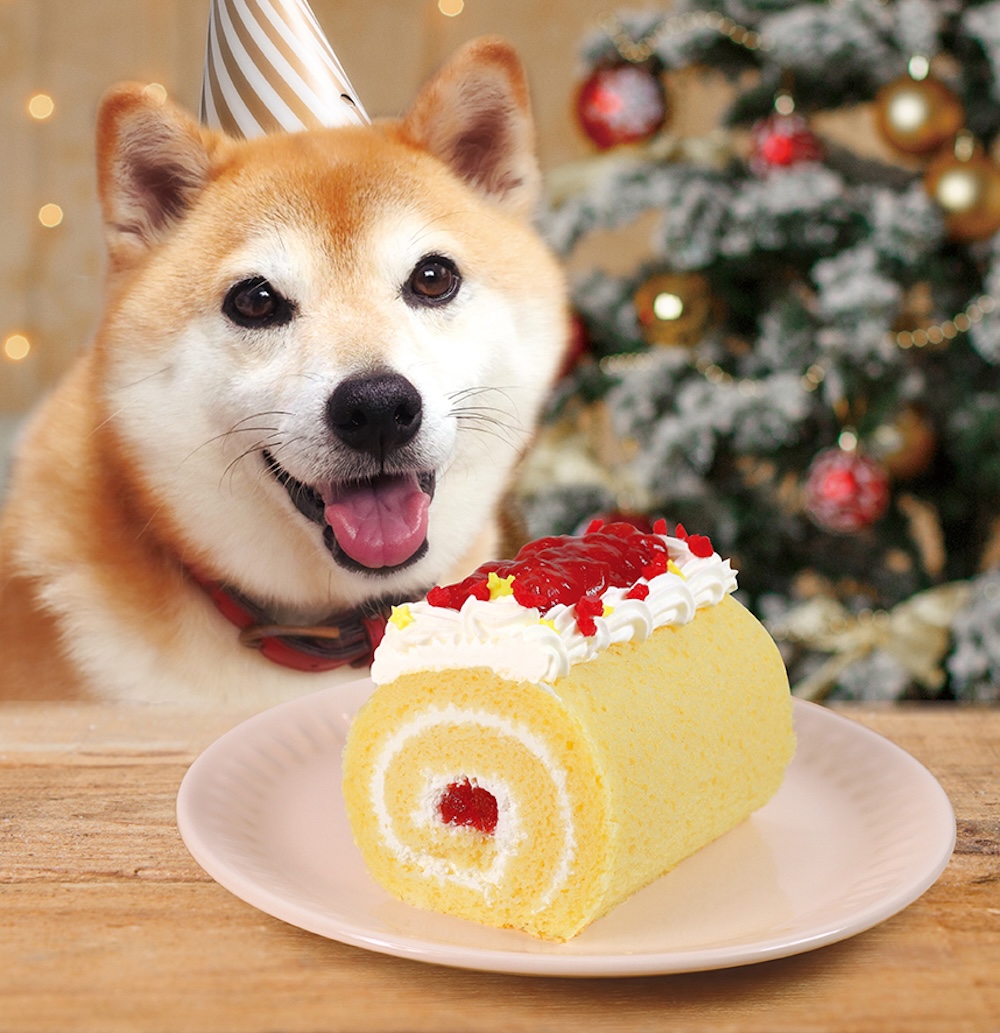 予約限定・数量限定「【犬猫用】「いっしょに！Smile Switch！ドッグのロールケーキ」税込み1,980円