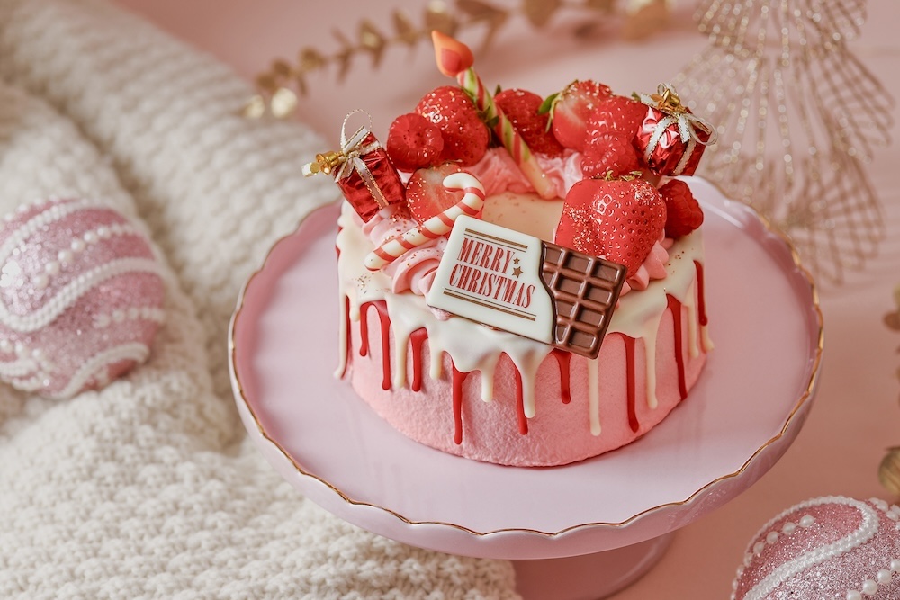 「クリスマスサプライズギフトケーキ」税込み5,300円