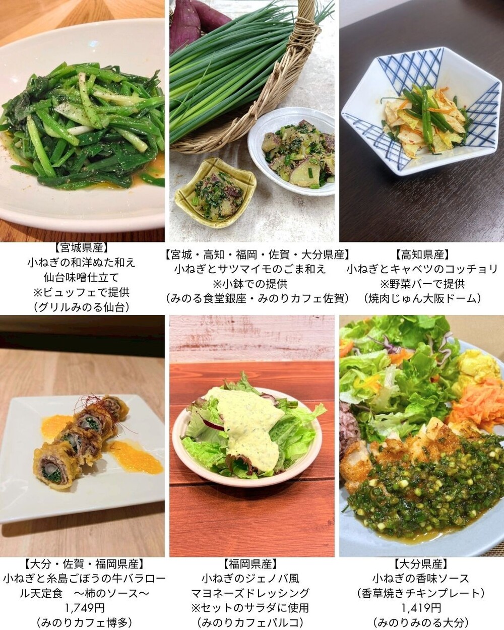~11月23日「小ねぎ記念日」に向けて“ねぎ”らいの感謝を!~ 全農直営飲食店舗で「小ねぎフェア」を 10月27日(月)~11月6日(木)に開催