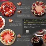 「レデリア&トルタイシーオ POP-UP STORE」商品イメージ