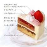 2サイズ展開の「ガイア・フレーズ・ノエル」税込み4,600円から