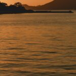 「ユウナギ カフェ」イメージ