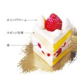 3サイズ展開の「ショートケーキ・ノエル」税込み4,500円から