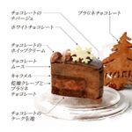 3サイズ展開の「ショコラ・プラリネ・ノエル」税込み4,600円から