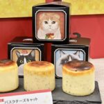 「バスクチーズキャット Bセット」税込み2,980円