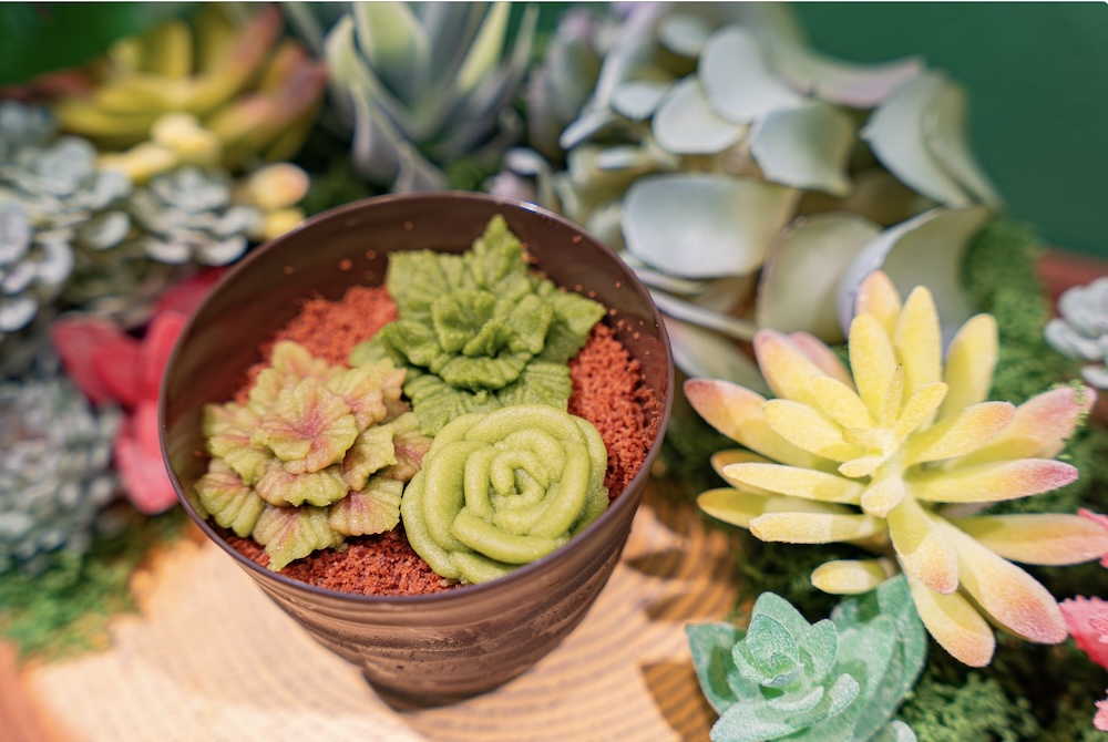 「ボタカ」イメージ