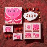 「ショコラホワイトケーキ〈ベリー〉」イメージ