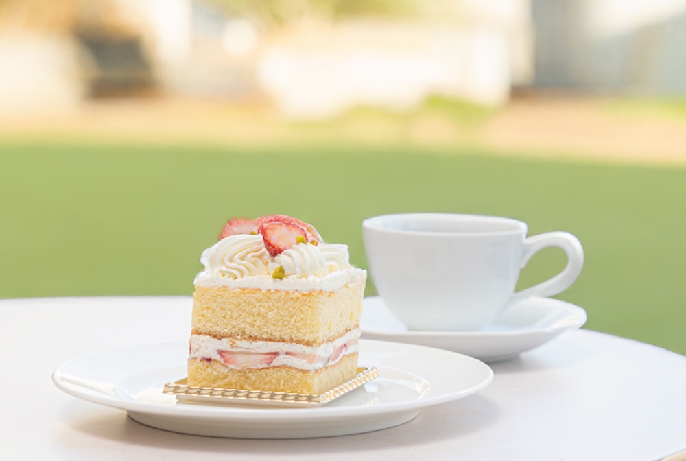 ケーキバイキングのイメージ