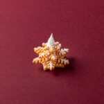 「フェスティブアフタヌーンティー」イメージ