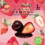 2026年1月13日より発売される「フローズンダークチョコストロベリー」税込み275円