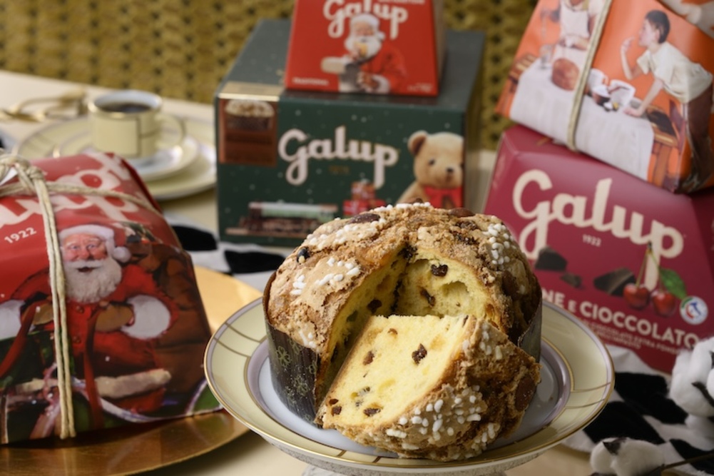 クリスマスの新定番！ イタリアのクリスマス伝統菓子パネットーネが12月3日(水)より 松屋銀座・大丸札幌店・オンラインサイトで販売開始