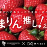 スイーツフェア「『あまりん』推し！フェア2026」イメージ