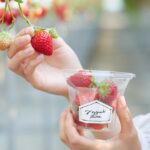 「ミガキファーム」イメージ