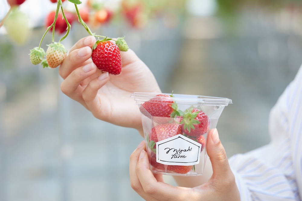 「ミガキファーム」イメージ