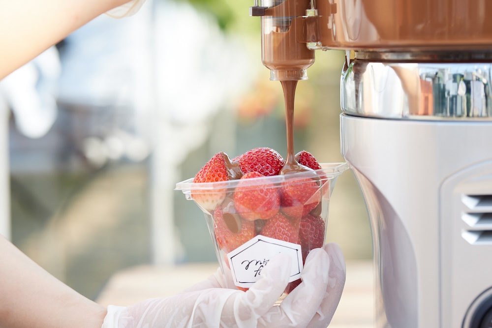 「ミガキファーム」イメージ