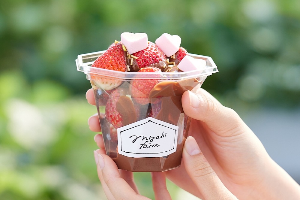 「ミガキファーム」イメージ