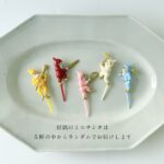 サンタピックのイメージ