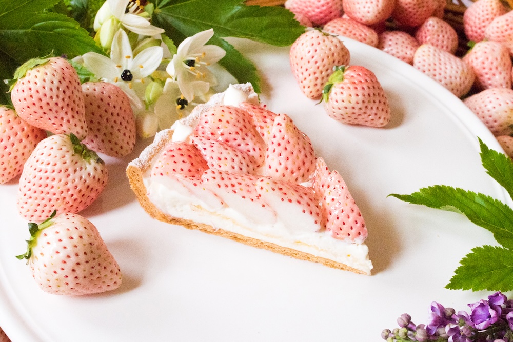 12月26日〜2026年2月15日に販売される「特選 白イチゴ “初恋の香り”のタルト」ピース・税込み1,998円