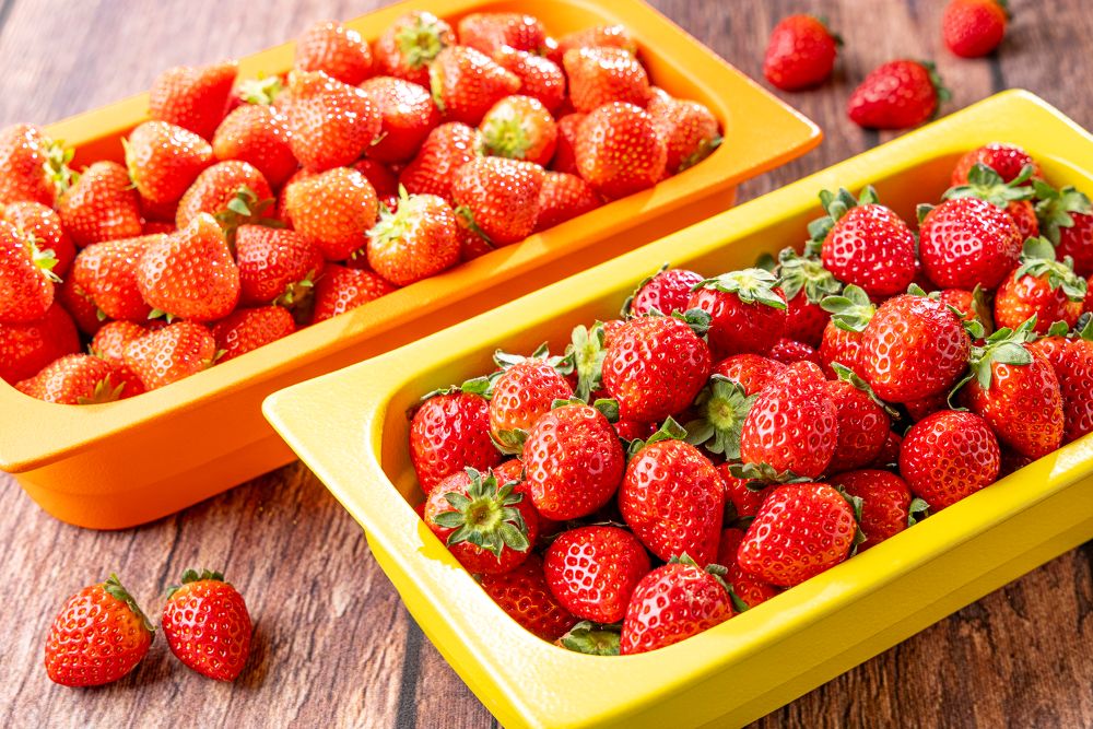 「旬のいちごと生パスタを楽しむイタリアンビュッフェ」イメージ