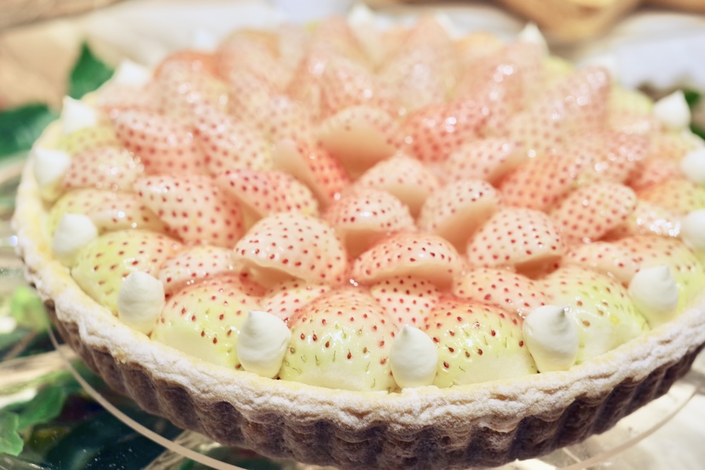 2月15日まで販売される「特選 白イチゴ “初恋の香り”のタルト」ホール・税込み15,984円